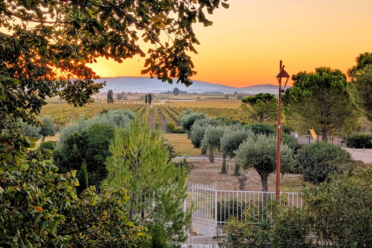 vue sur les vignes depuis les suites du chateau de siran