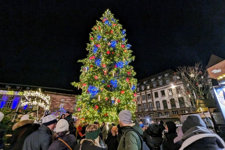 Ne jetez surtout pas votre sapin de Noël ! alsace strasbourg sapin du marche de noel