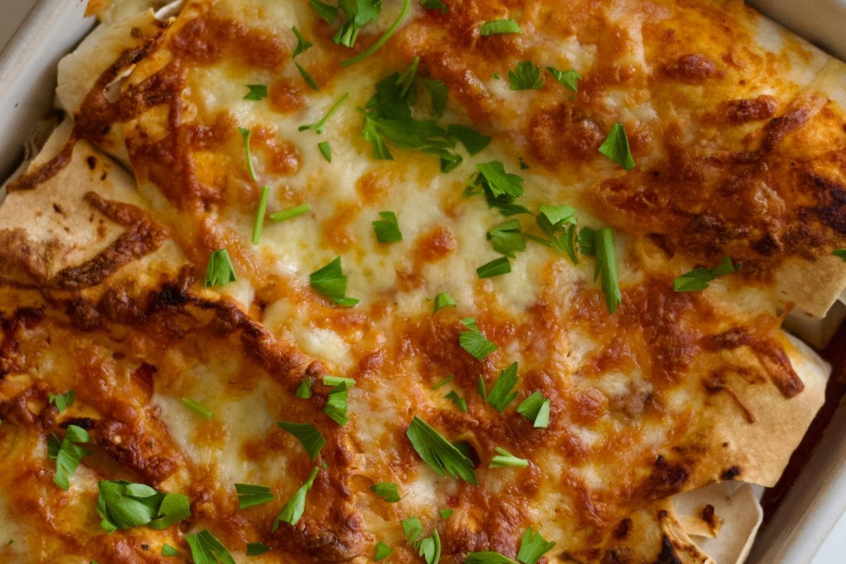 7 plats végétariens faciles et pas chères pour la semaine enchiladas haricots rouges