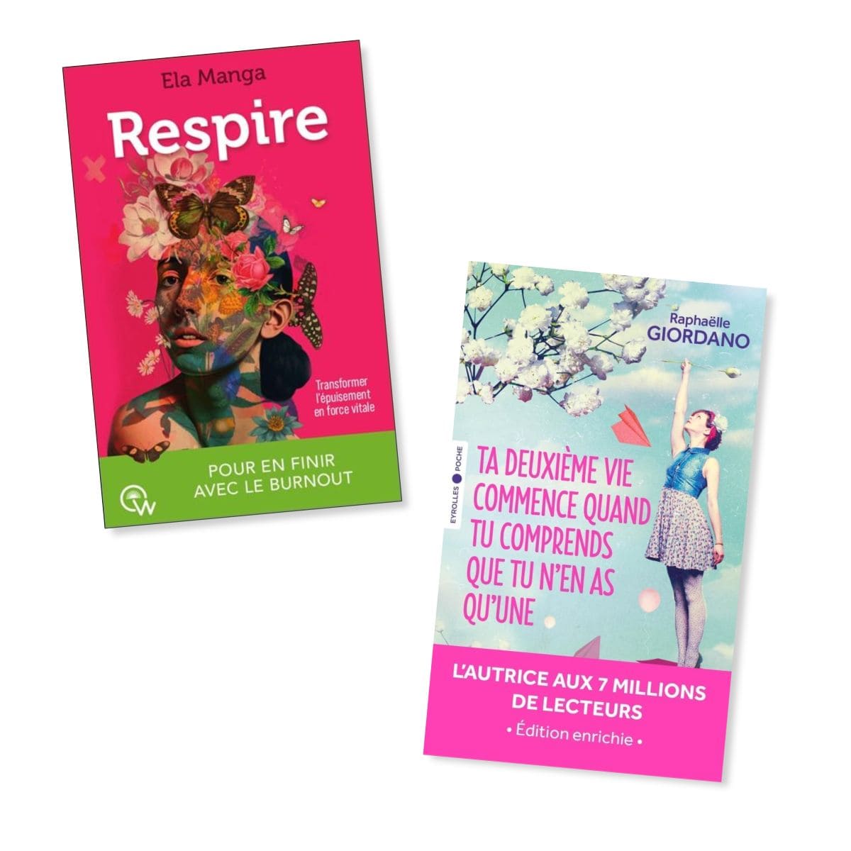 14 idées de livres à offrir pour Noël livres a offrir a une femme curieuse