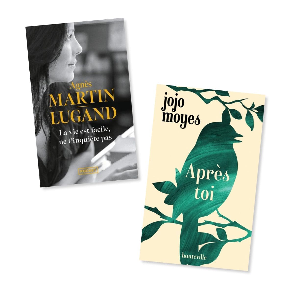 14 idées de livres à offrir pour Noël livres pour un amateur de belles histoires