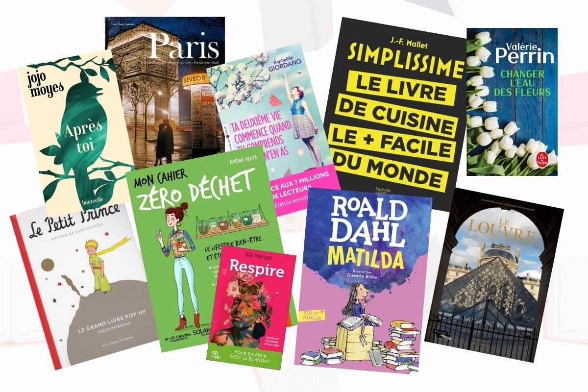 14 idées de livres à offrir pour Noël livres a offrir pour noel