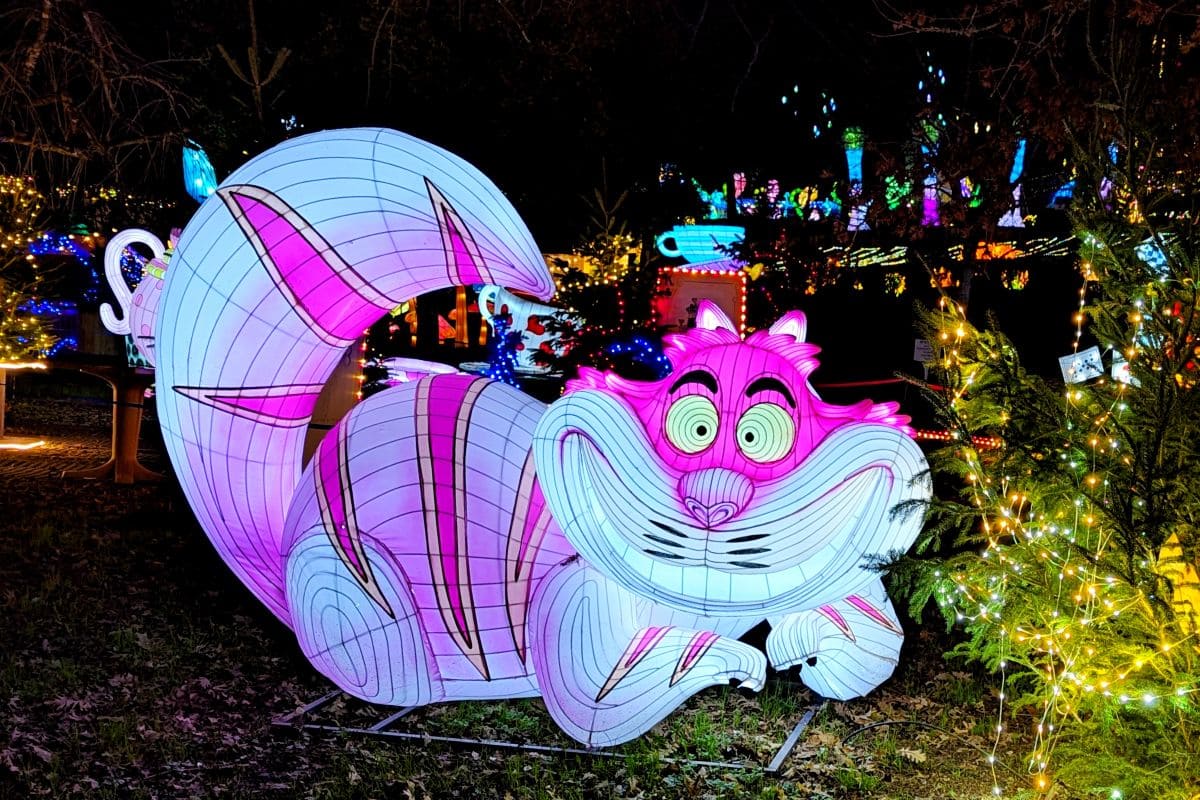 Prolongez la magie de Noël avec la féérie des lanternes de Castel Novel 🏮🤩 chat alice au pays des merveilles en lanterne
