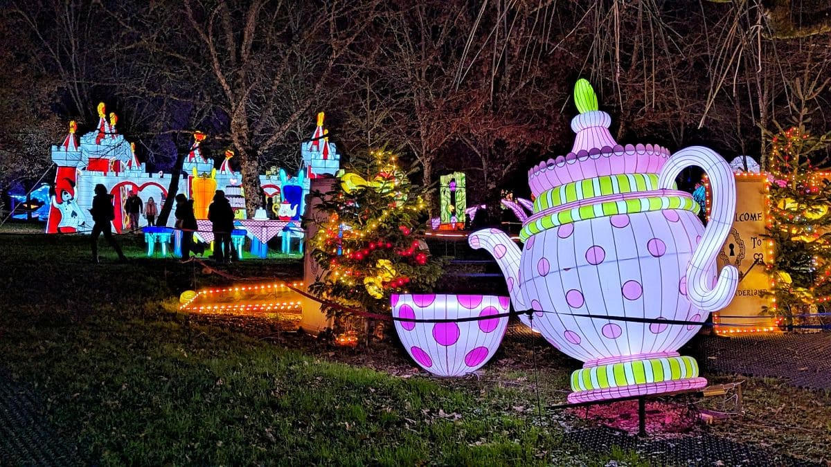 Prolongez la magie de Noël avec la féérie des lanternes de Castel Novel 🏮🤩 voyage sensoriel a la feerie des lanternes