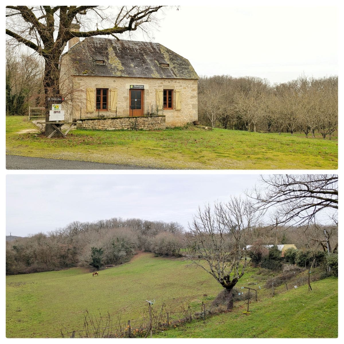 5 très bonnes tables "gaillardes" 🍽️ ! ferme auberge de la truffe a cuzance