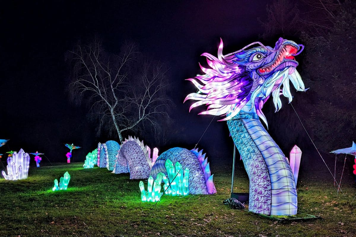 Prolongez la magie de Noël avec la féérie des lanternes de Castel Novel 🏮🤩 lanterne geante dragon feerie des lanternes castel novel