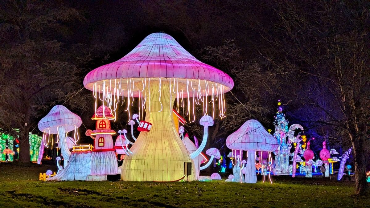 Prolongez la magie de Noël avec la féérie des lanternes de Castel Novel 🏮🤩 lanternes champignons geants castel novel