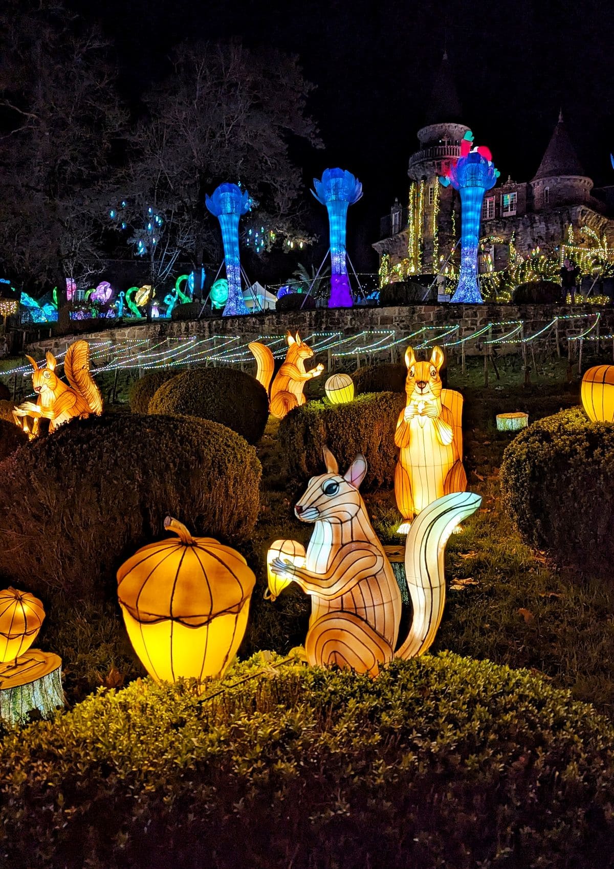 Prolongez la magie de Noël avec la féérie des lanternes de Castel Novel 🏮🤩 structures lumineuses ecureuils feerie des lanternes castel novel