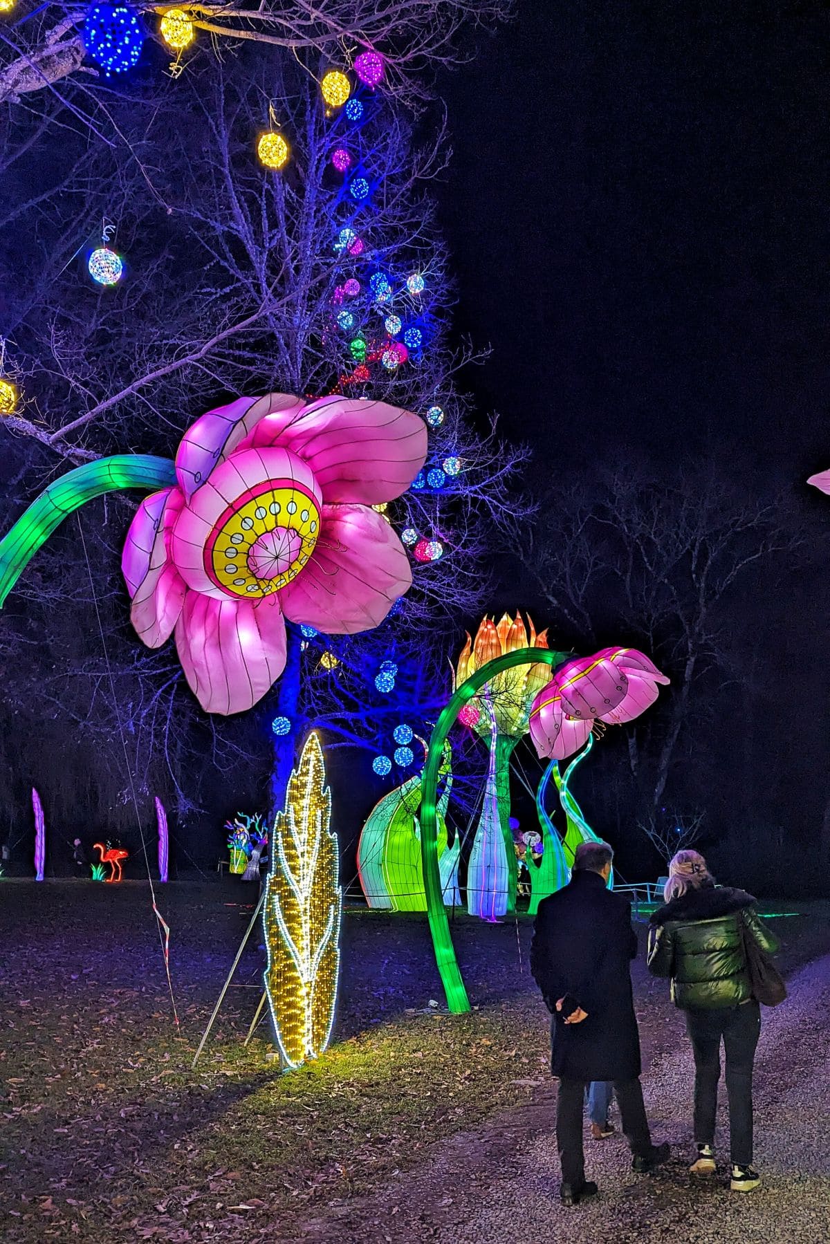 Prolongez la magie de Noël avec la féérie des lanternes de Castel Novel 🏮🤩 deambulation fluide et romantique a la feerie des lanternes