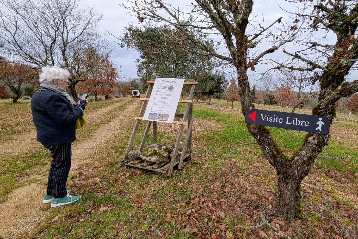 5 très bonnes tables "gaillardes" 🍽️ ! visite libre et gratuite de la truffiere a cuzance