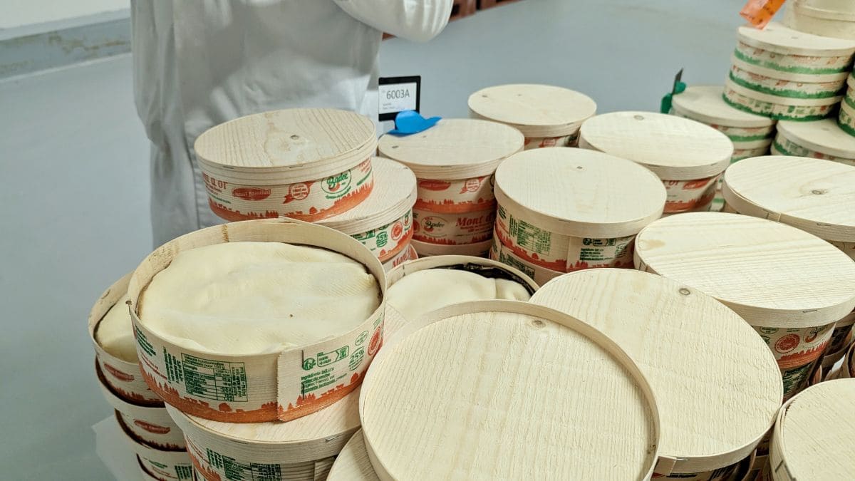 Plongez au coeur du Mont d'Or ! travail en equipe des acteurs de la filiere mont d or