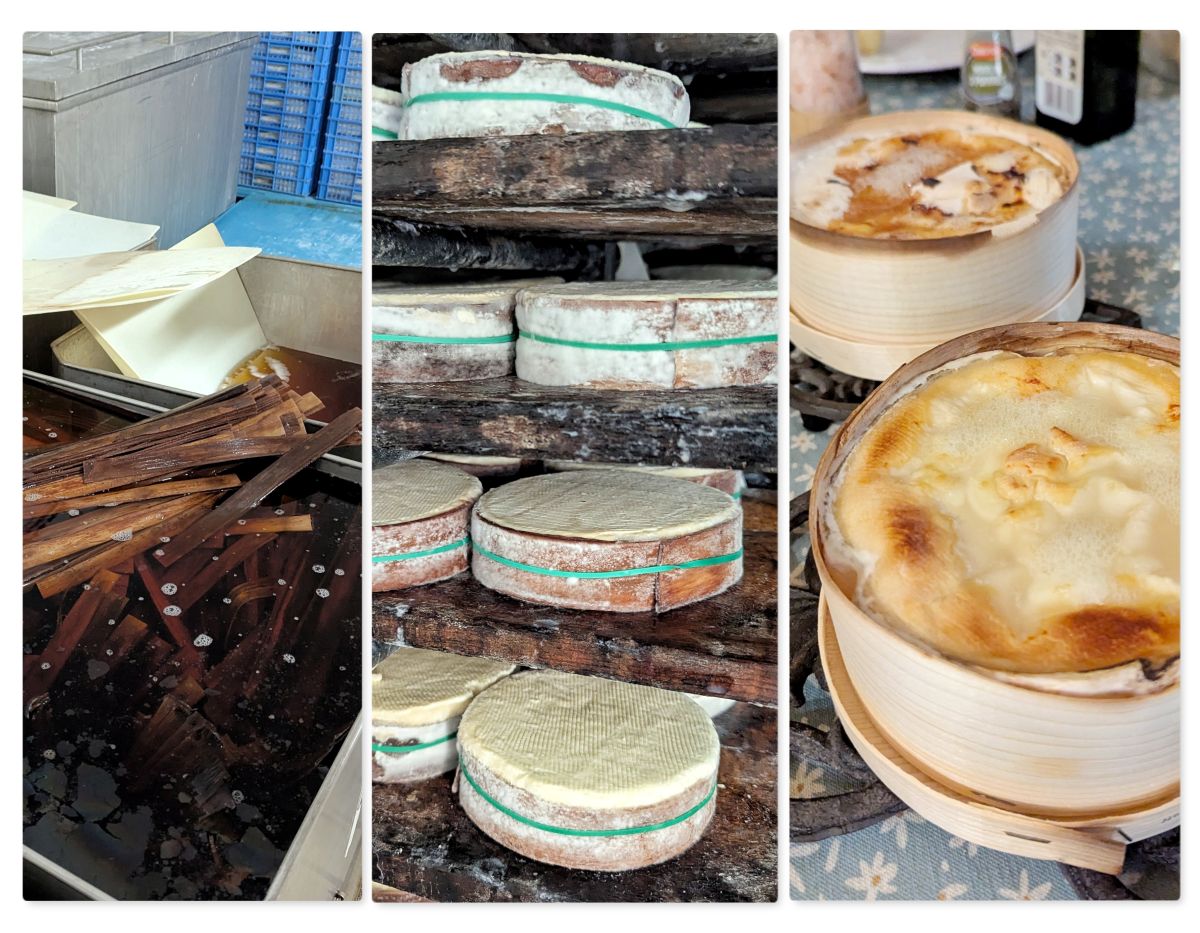 Plongez au coeur du Mont d'Or ! lien entre le mont d or et le bois de l epicea