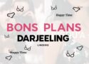 Darjeeling : les 5 bons plans de la marque de lingerie