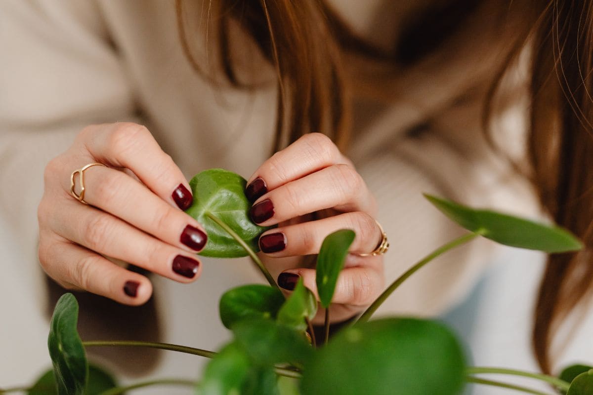 7 idées pour trouver un beau cadeau femme selon son style de vie offrir un cadeau a une femme qui aime les plantes