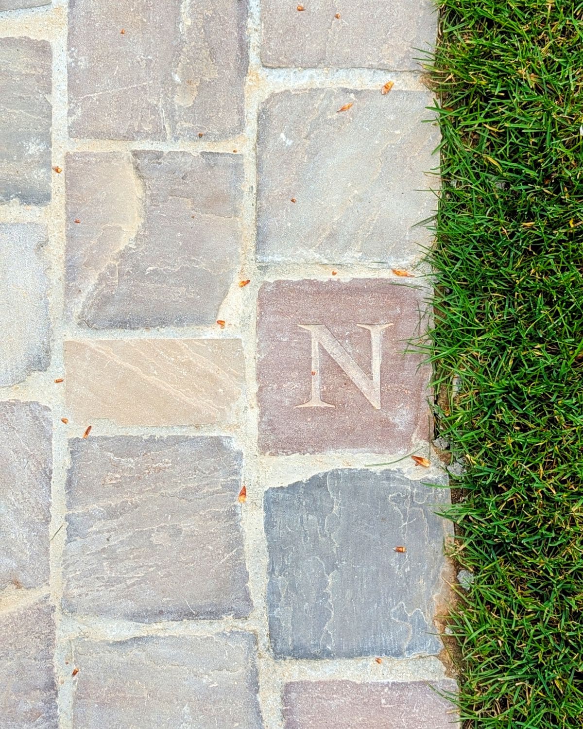 Château de Boutemont, entre contemplation et méditation jeu pour enfants au chateau de boutemont