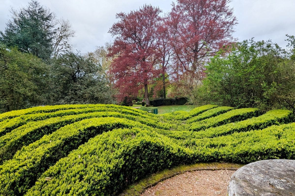Château de Boutemont, entre contemplation et méditation ondes de buis chateau de boutemont