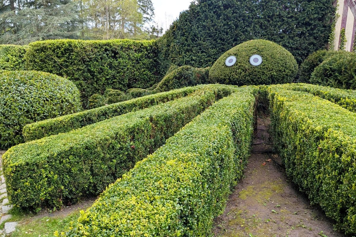 Château de Boutemont, entre contemplation et méditation topiaire pieuvre jardins du chateau de boutemont