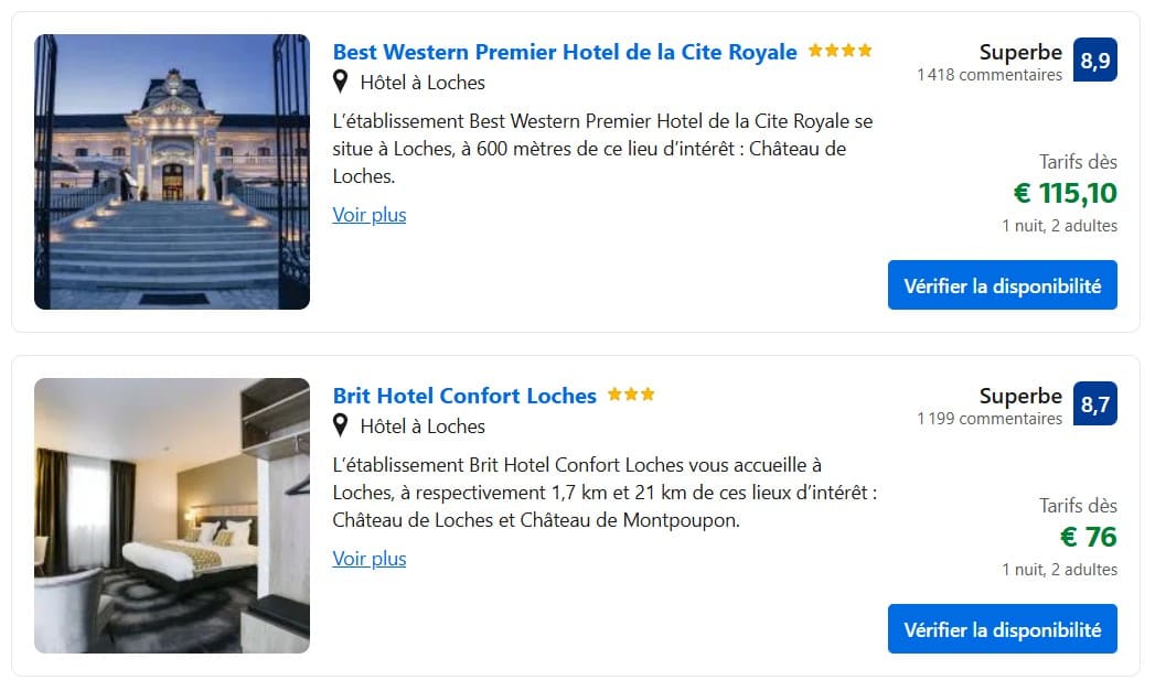 Visiter Loches, pépites et bons plans autres hotels a loches