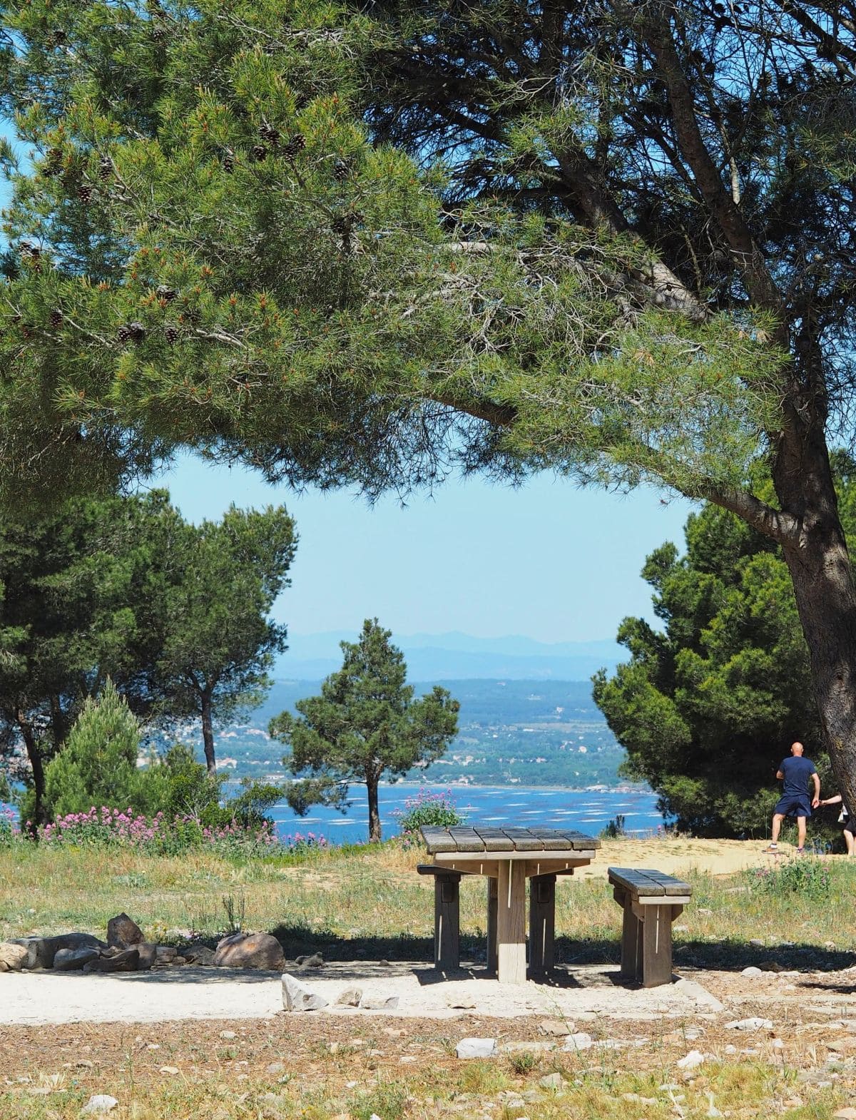 Visiter Sète à pied : incontournables, pépites et bons plans foret des pierres blanches a sete avec vue sur la lagune de thau