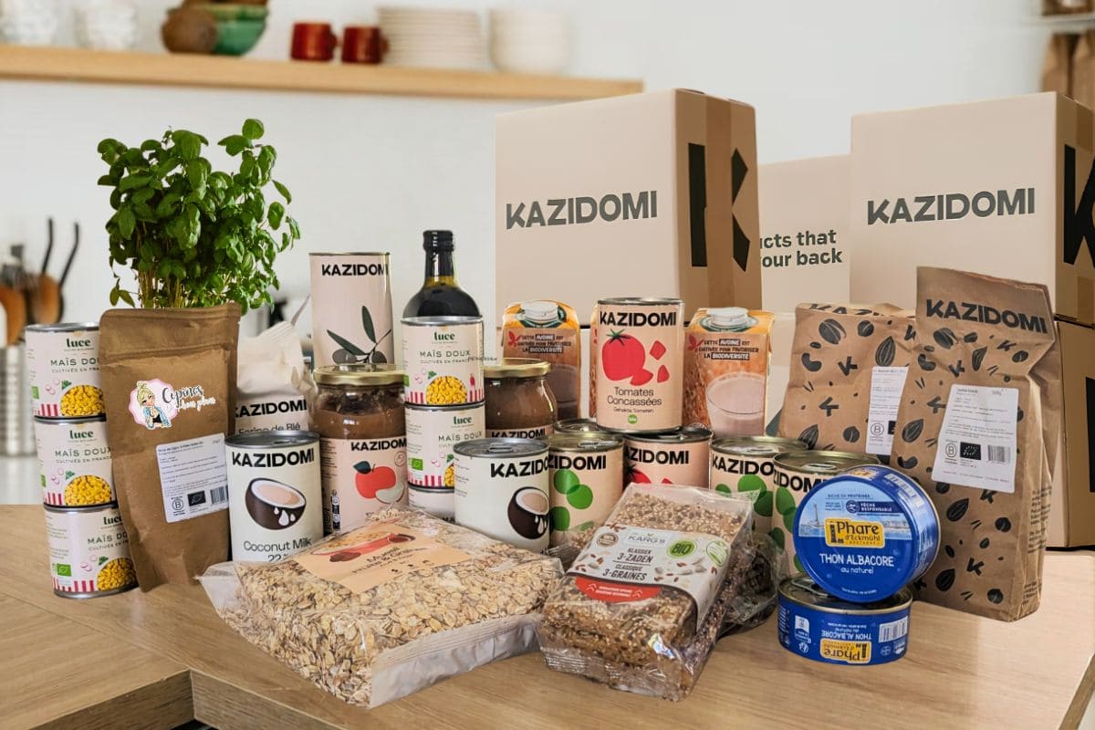 Kazidomi avis : est-ce rentable après plusieurs années ? kazidomi avis