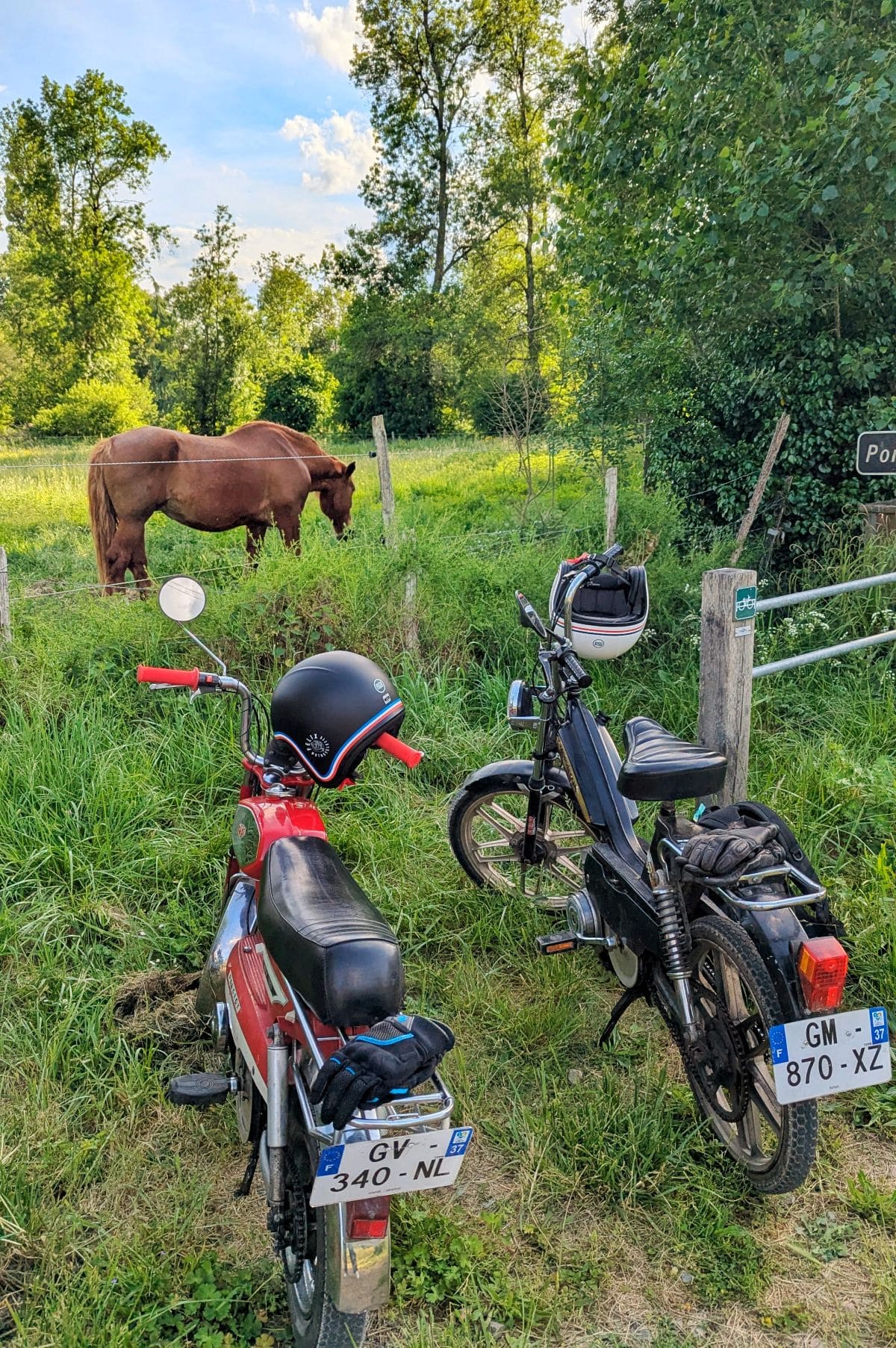 Visiter Loches, pépites et bons plans mobylettes dans la campagne lochoise