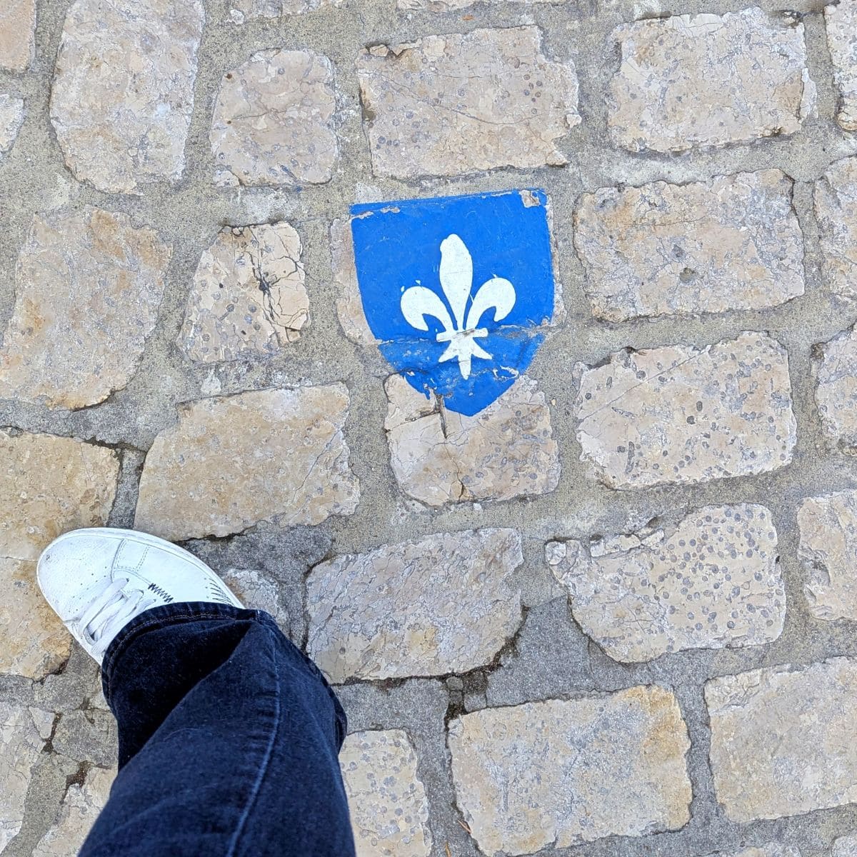 Visiter Loches, pépites et bons plans repere dans les rues de loches pour suivre les visites livres et gratuites
