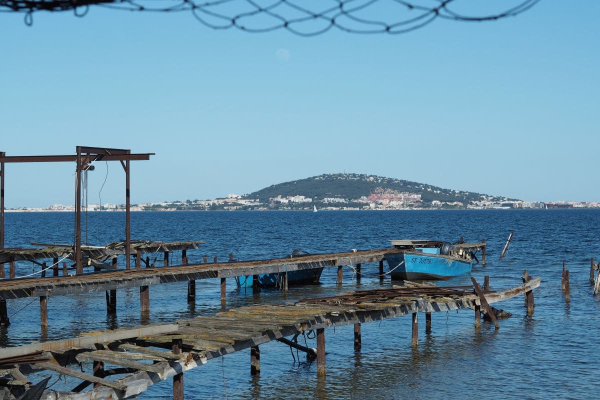 Visiter Sète à pied : incontournables, pépites et bons plans sete vu depuis la lagune de thau