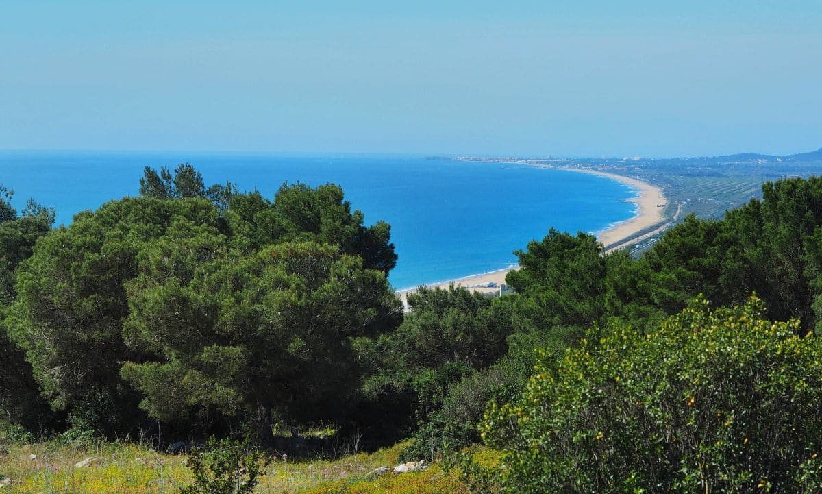 Visiter Sète à pied : incontournables, pépites et bons plans vue mer depuis la foret des pierres blanches a sete