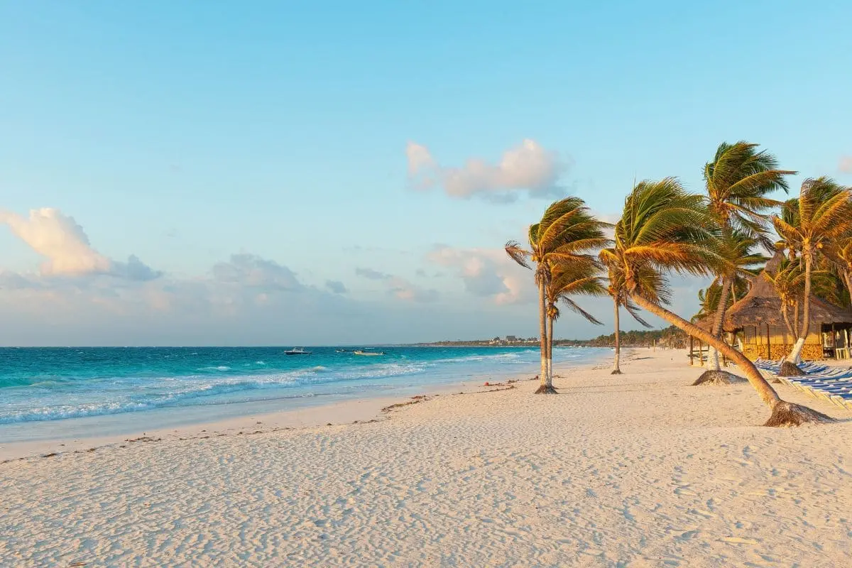 Code promo MySunBed : -5€ sur votre transat privé au Mexique ! journee plage au mexique