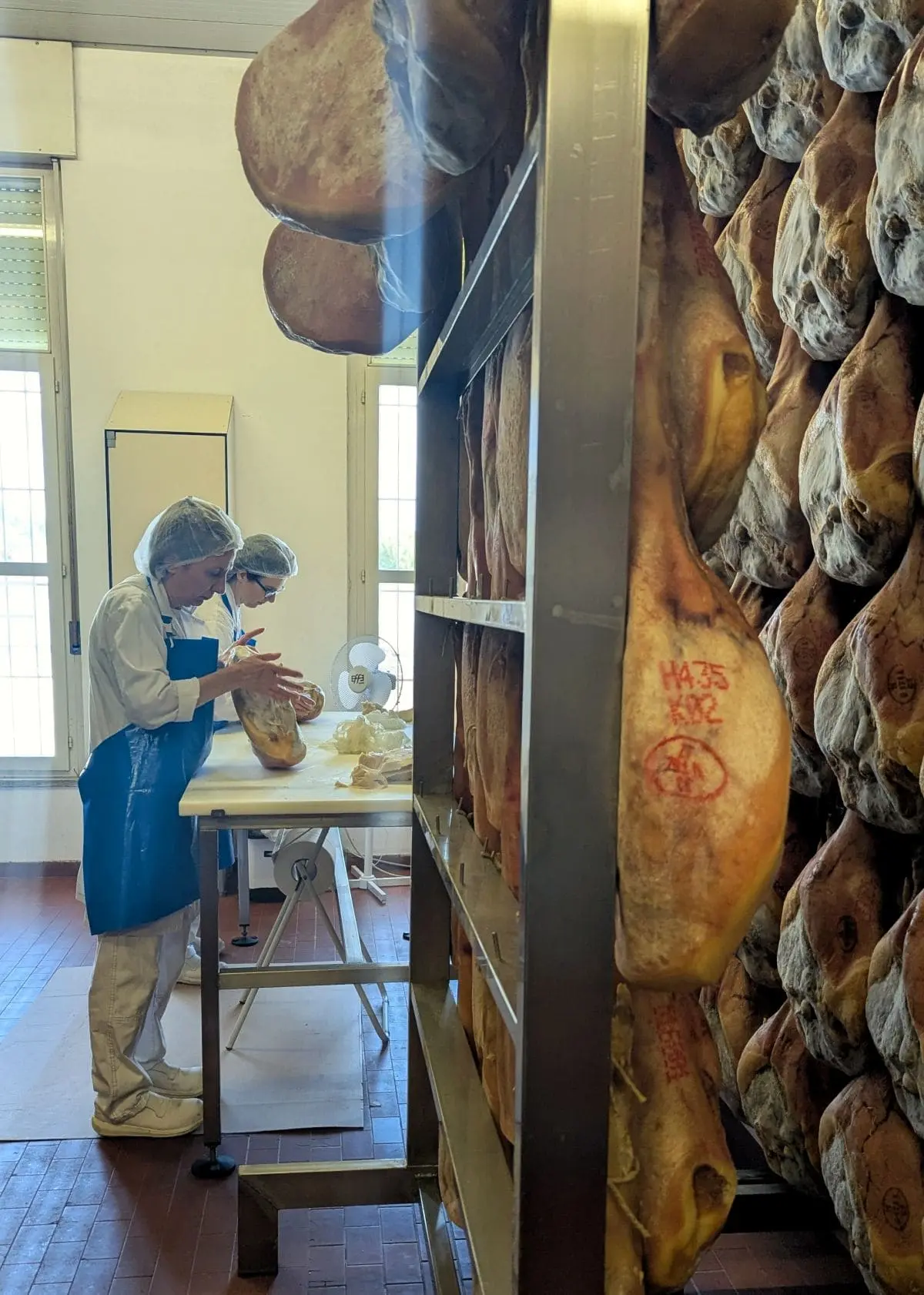 À la découverte du Prosciutto di San Daniele AOP application d un enduit de protection sur les cuisses de jambon san daniele