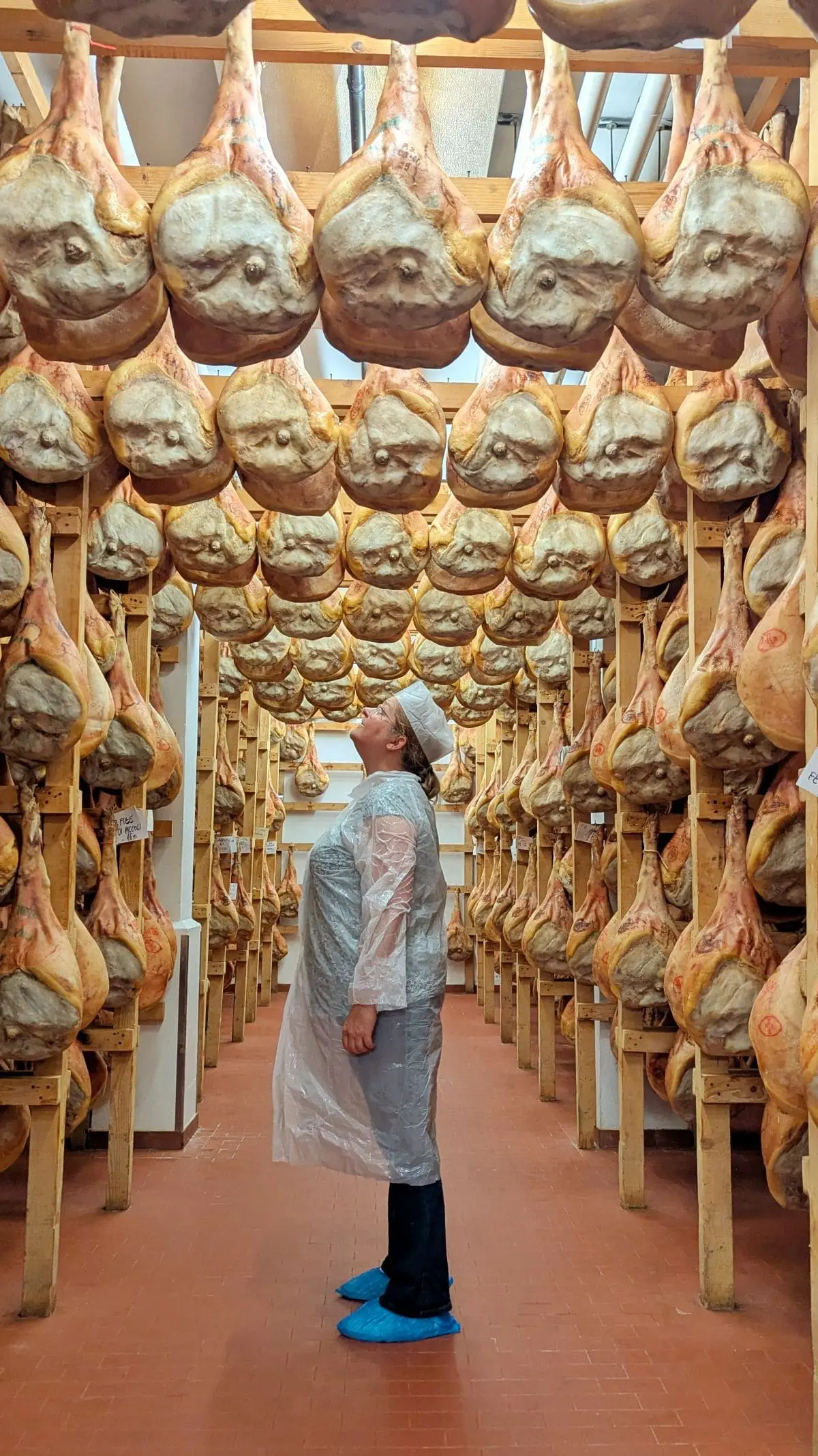 À la découverte du Prosciutto di San Daniele AOP cave d affinage du jambon di san daniele aop en italie