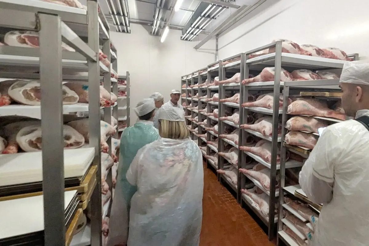 À la découverte du Prosciutto di San Daniele AOP cuisses de porcs italiens utilisees pour la fabrication du jambon san daniele aop