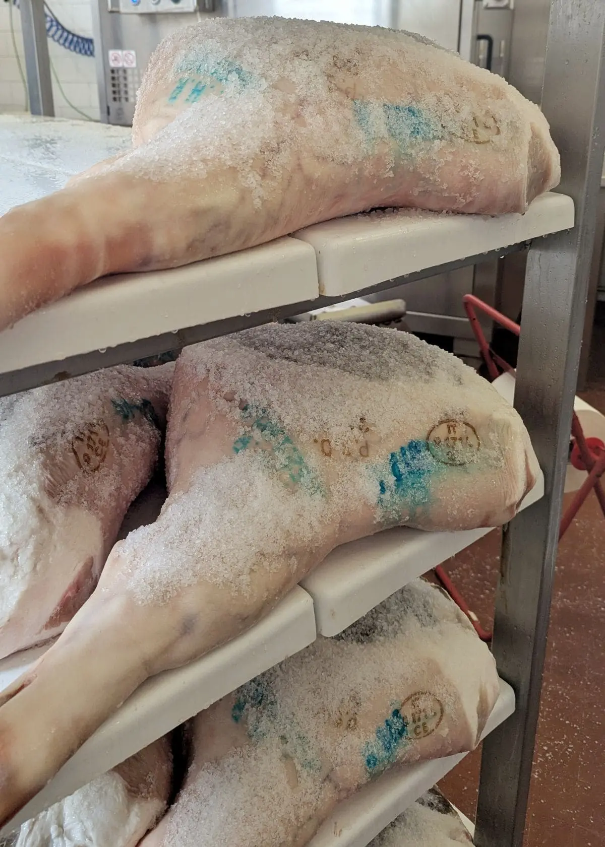 À la découverte du Prosciutto di San Daniele AOP salage des cuisses pendant la fabrication du jambon sec prosciutto di san daniele en italie