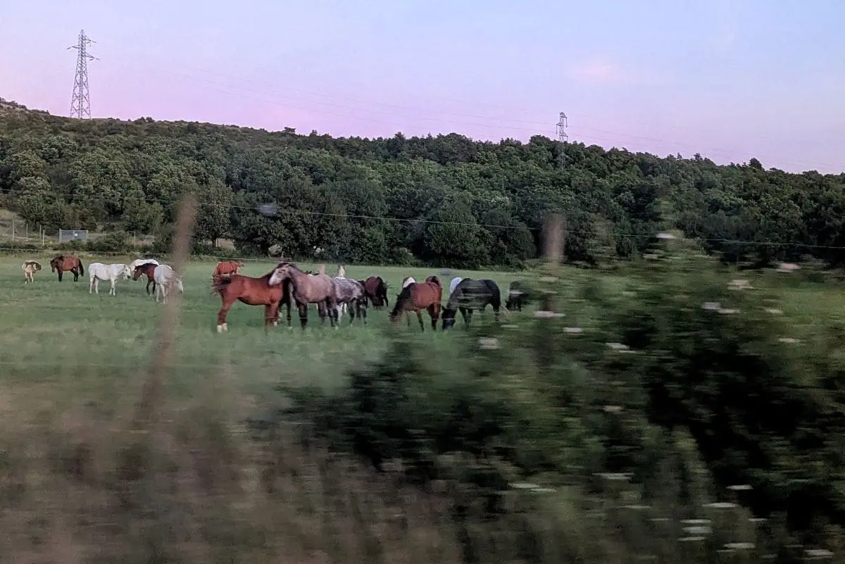 Visiter les Remparts du Larzac : escapade en Aveyron chevaux et activites equestres du domaine de gaillac