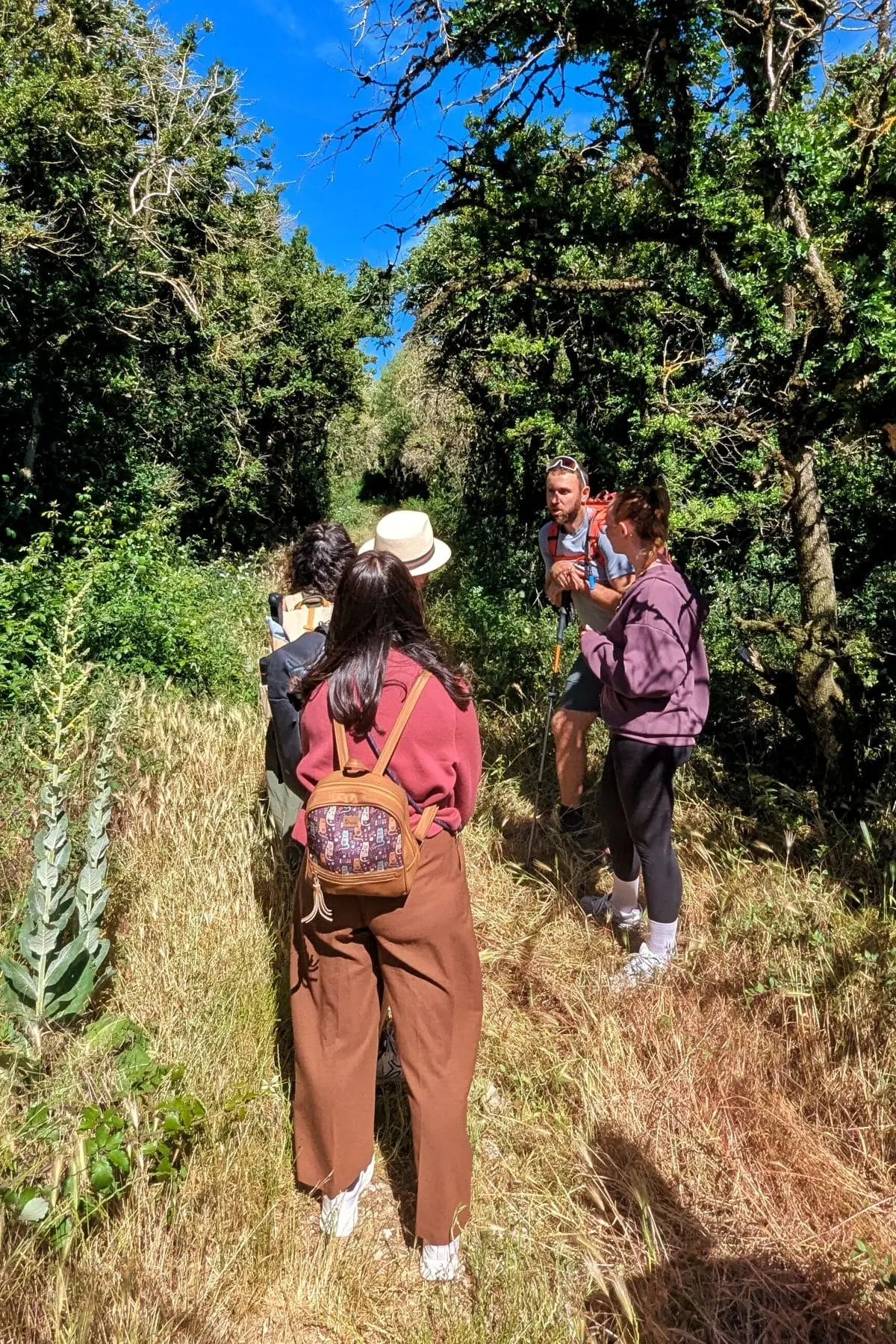 Visiter les Remparts du Larzac : escapade en Aveyron randonnee plus interessante lorsqu elle est realisee avec un guide de la maison des accompagnateurs au domaine de gaillac