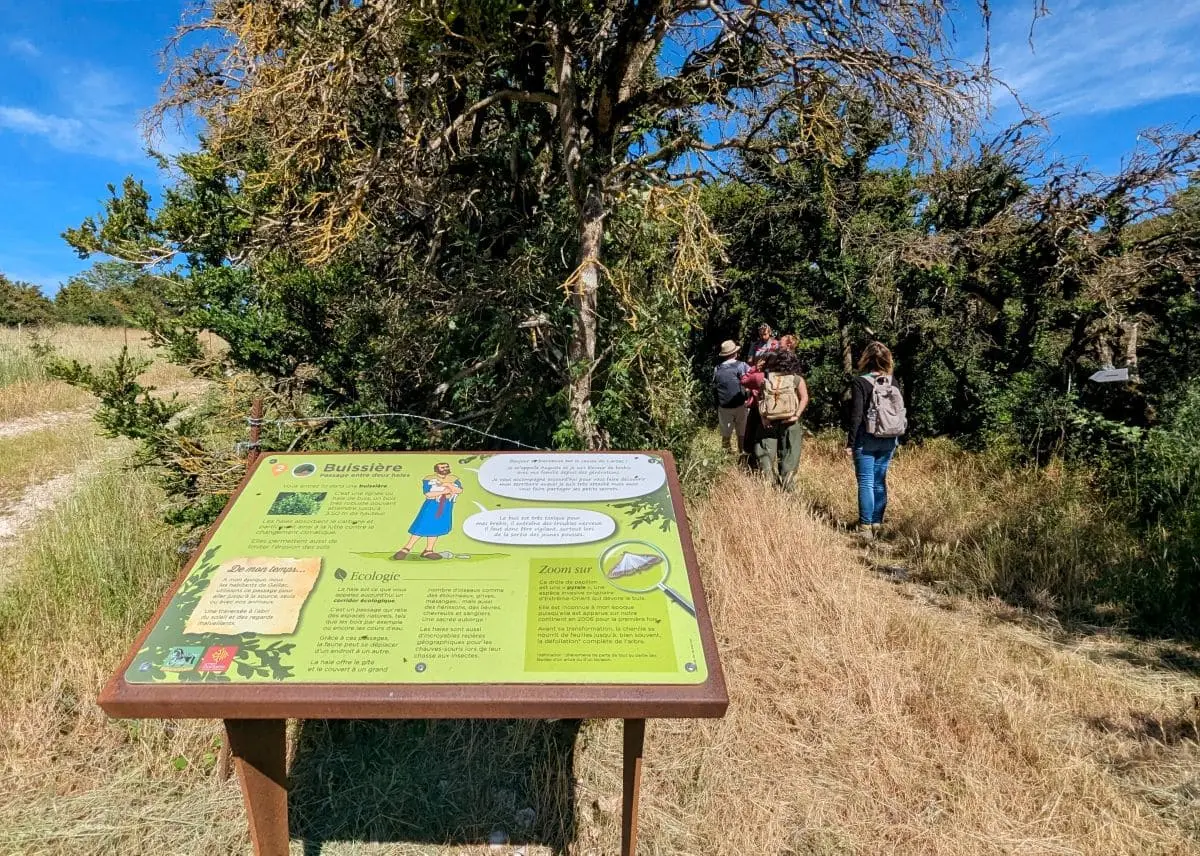 Visiter les Remparts du Larzac : escapade en Aveyron panneau d interpretation pour comprendre ce qu on observe sur le sentier le toit du larzac au domaine de gaillac