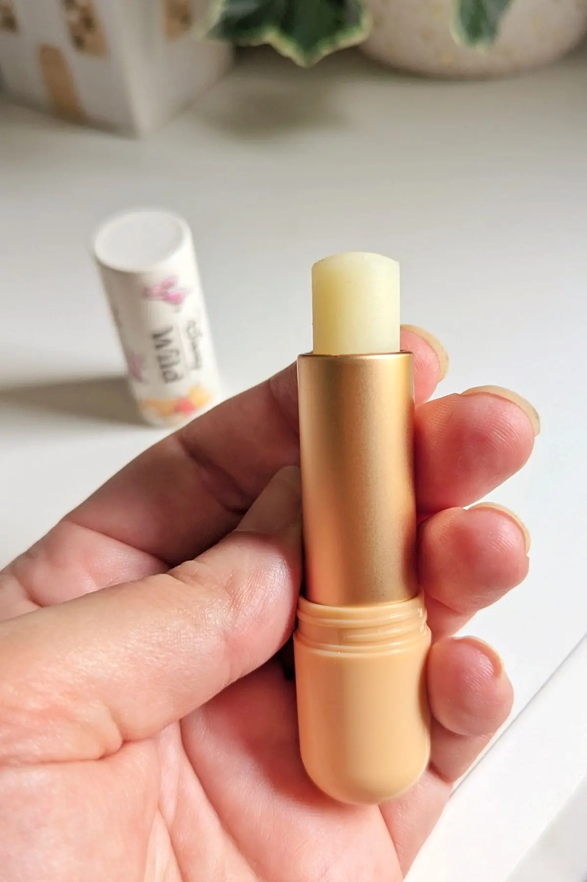 Deo Wild Winnie : l’édition limitée Disney trop craquante stick a levres recharge wild winnie l ourson