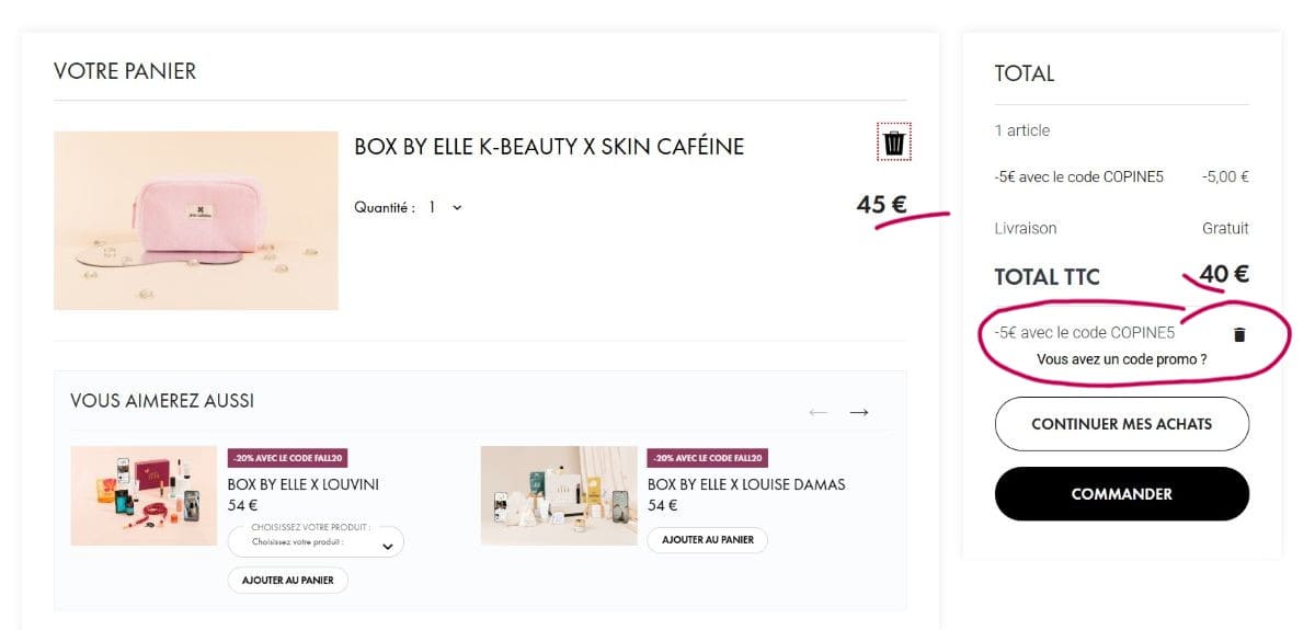 application du code promo COPINE5 dans panier box by elle
