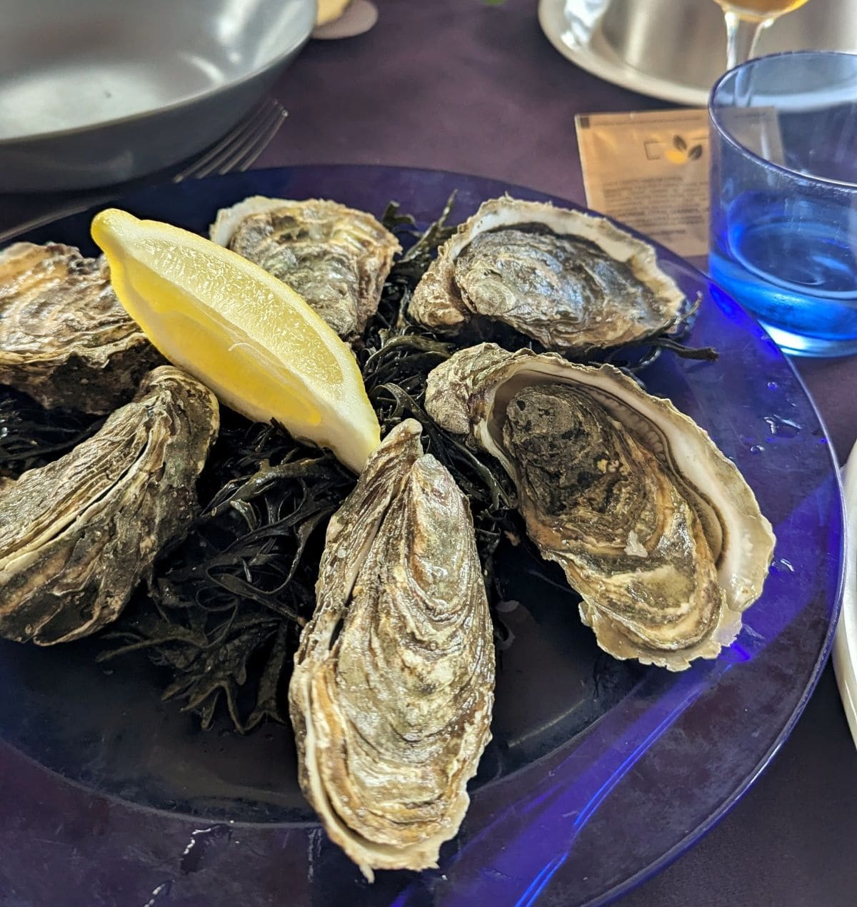 deguster des huitres a plouescat