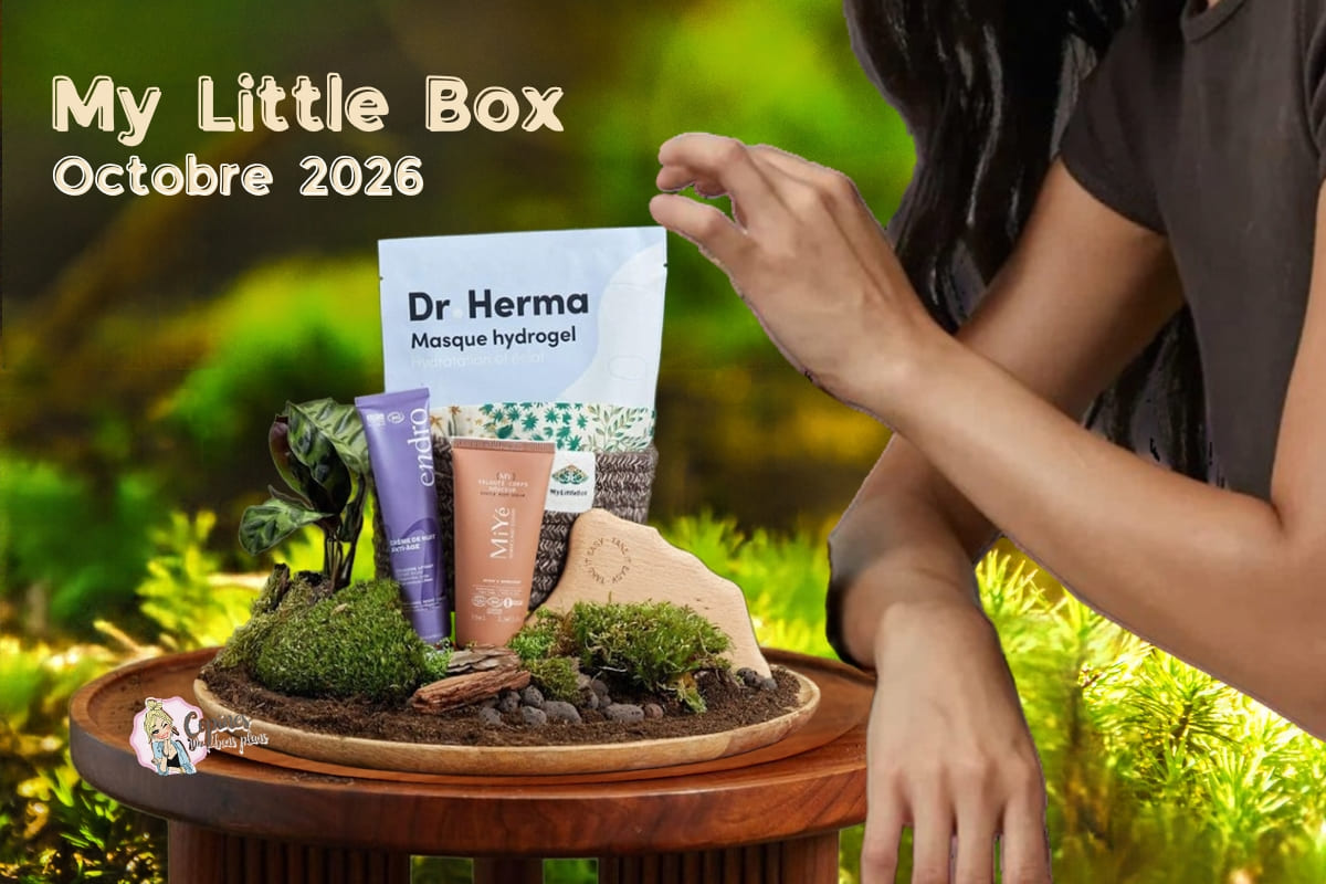 my little box octobre 2026 murmures des bois